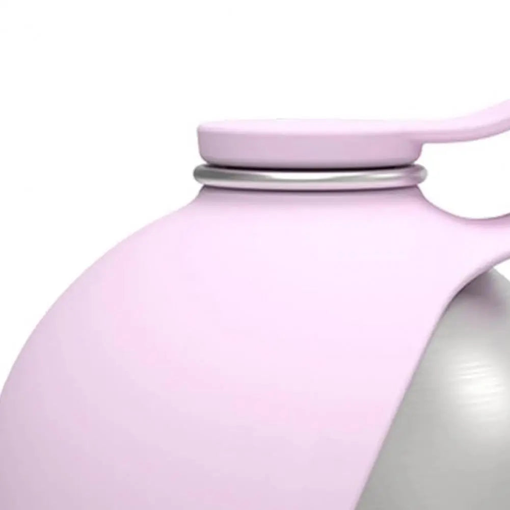 Spherical Pet Water Bottle - Stainless Steel