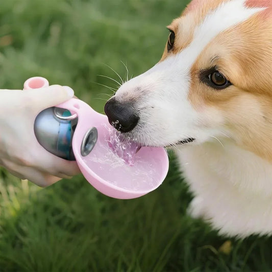 Spherical Pet Water Bottle - Stainless Steel