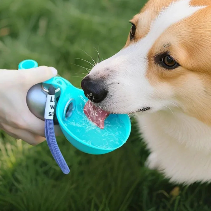 Spherical Pet Water Bottle - Stainless Steel